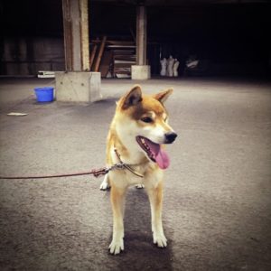 16-07-04-14-48-20-687_deco