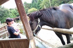 馬におやつをあげました